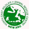 Visit the New Arc web site