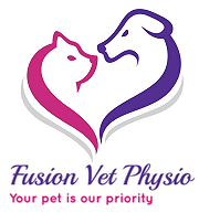 Click to visit the Fusion Physio website